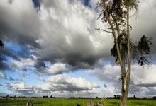 足球直播吧-SBTC强势MAD，Inspired高光表现